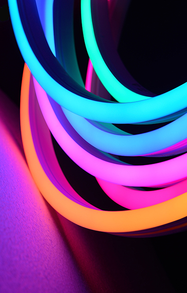 LED Neon flex